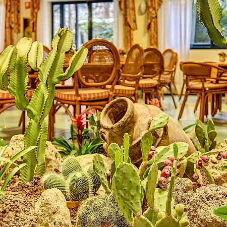 Caesar Palace Hotel 4*