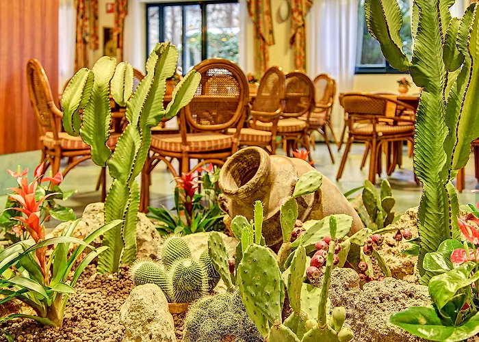 Caesar Palace Отель 4*